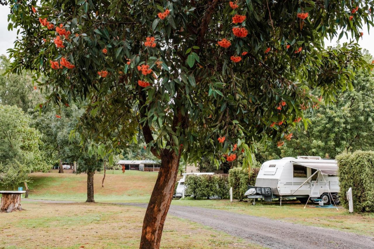 Big4 Breeze Holiday Parks - Eildon Εξωτερικό φωτογραφία